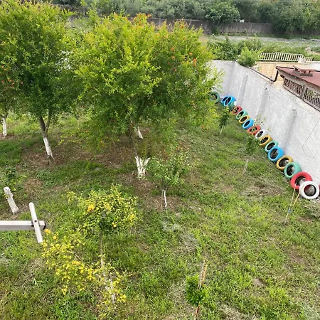 Gasthuis The Hideaway *