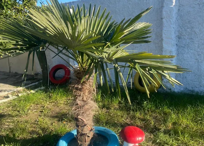 Casa de hóspedes The Hideaway